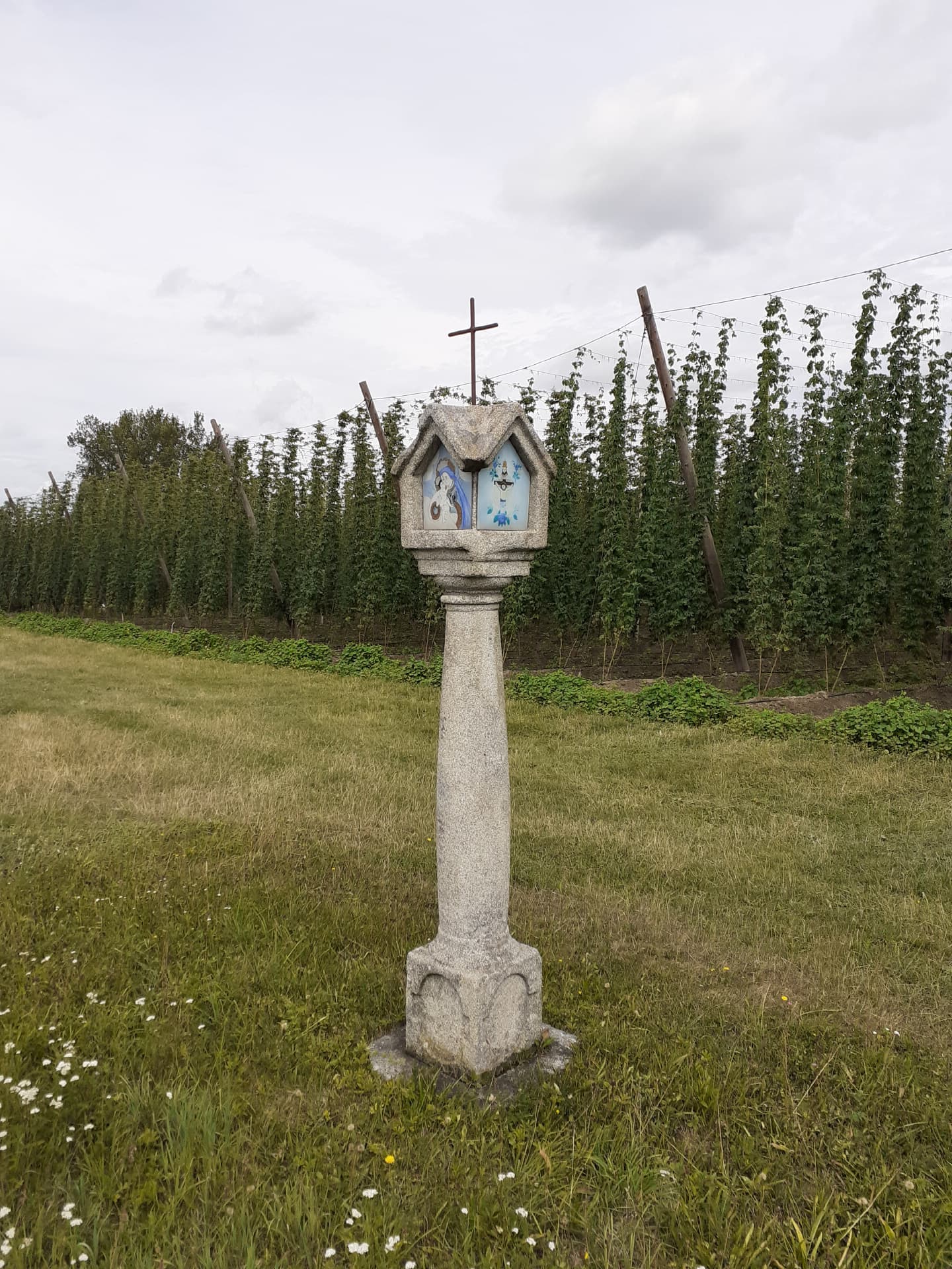 Hopfenanbaugebiet